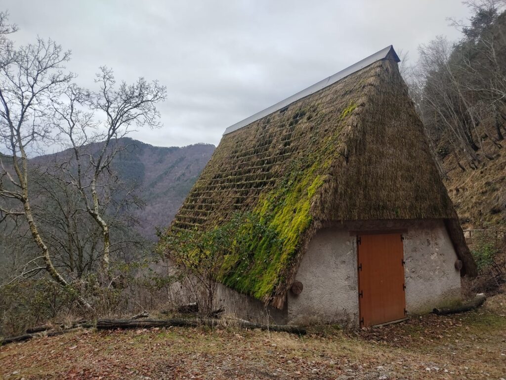 Borgo Fornel whatsapp image 2025 02 19 at 15.37.38